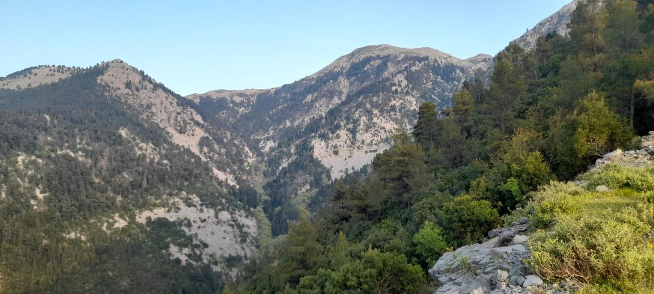 Το Σπίτι Της Ελένης Apartman Vlachia Kültér fotó