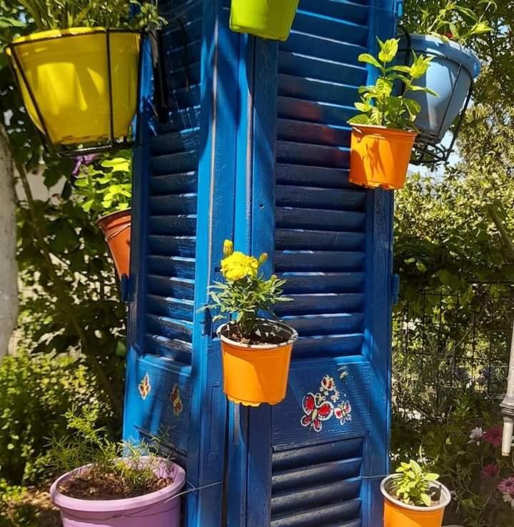 Το Σπίτι Της Ελένης Apartman Vlachia Kültér fotó
