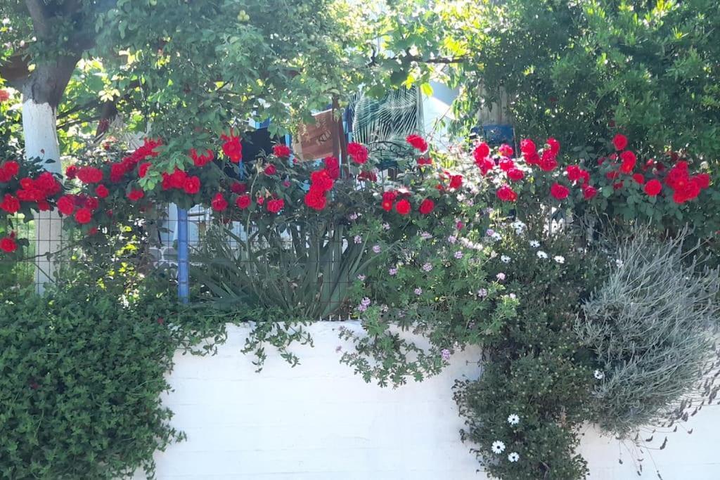 Το Σπίτι Της Ελένης Apartman Vlachia Kültér fotó