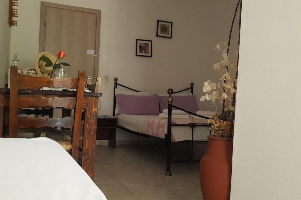 Το Σπίτι Της Ελένης Apartman Vlachia Kültér fotó