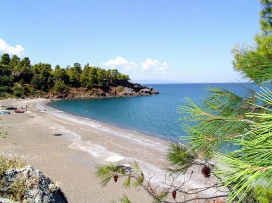 Το Σπίτι Της Ελένης Apartman Vlachia Kültér fotó