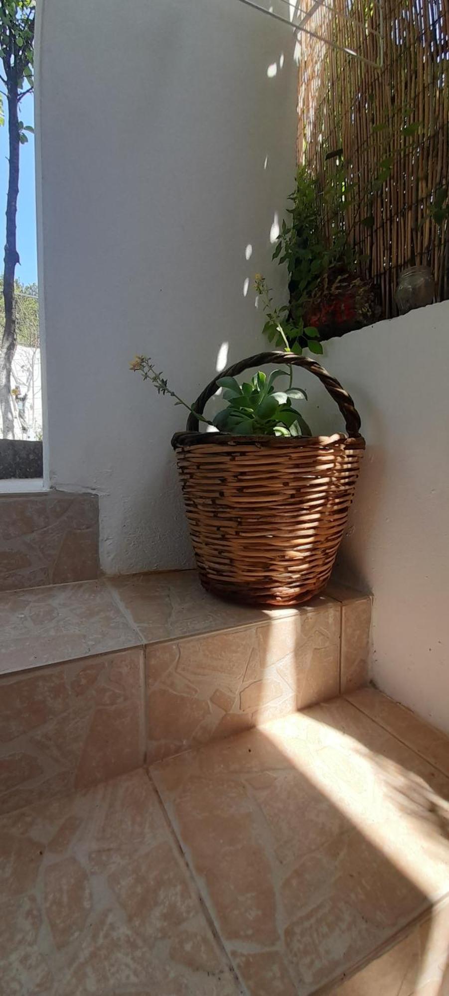 Το Σπίτι Της Ελένης Apartman Vlachia Kültér fotó