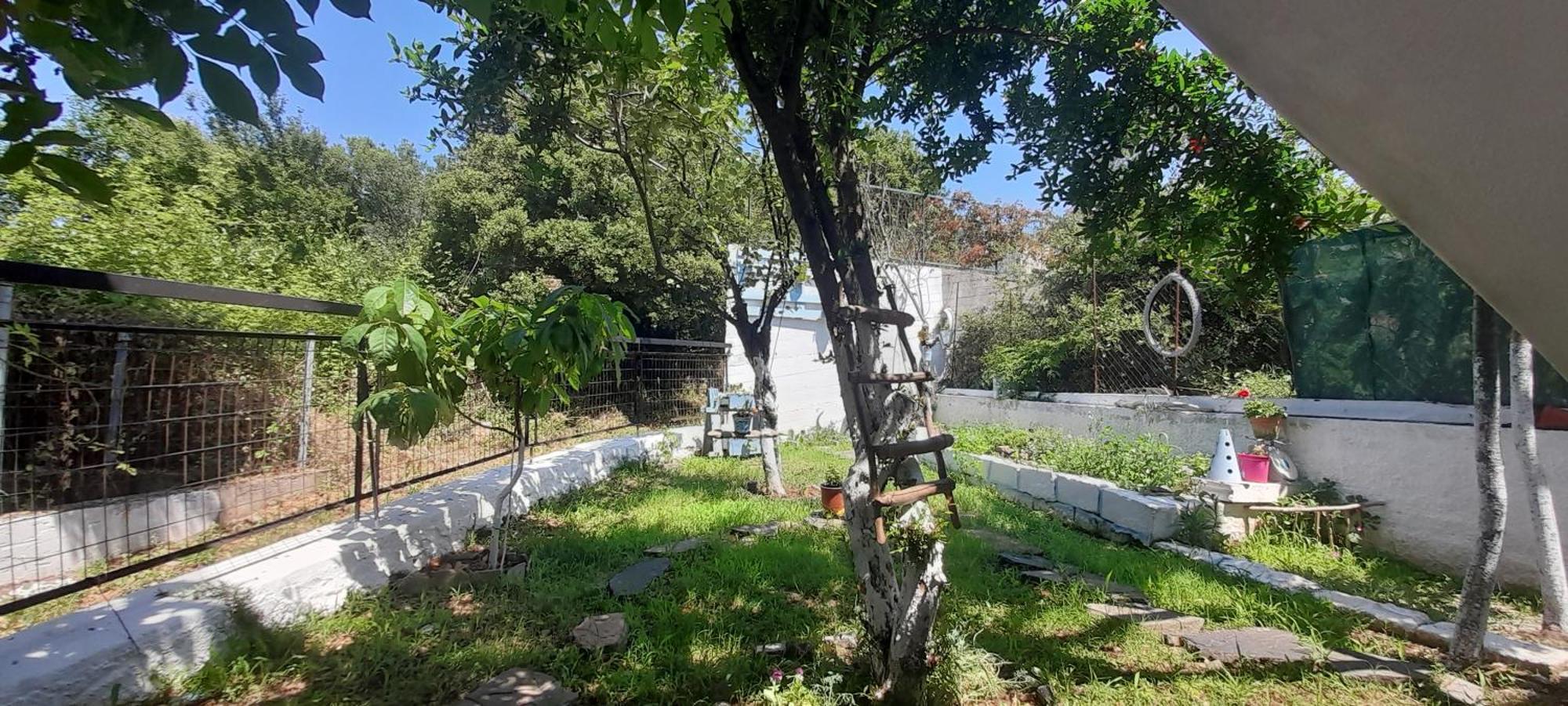 Το Σπίτι Της Ελένης Apartman Vlachia Kültér fotó